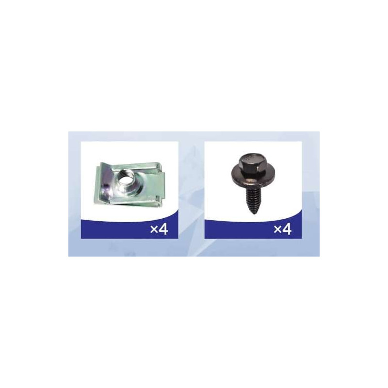 Tornilleria Cubre Carter Renault Clio II, Kangoo, Thalia 90244