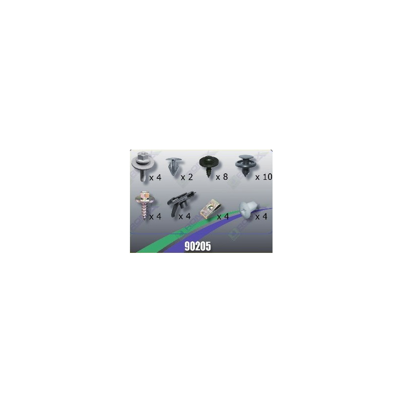 Tornilleria Protector CarterToyota 90205