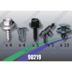 Tornilleria Protector Carter Toyota 90219