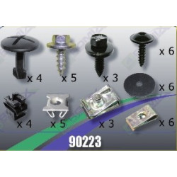 Tornilleria Protector Carter Audi 90223
