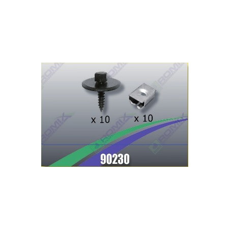 Tornilleria Protector Carter Mercedes  90230